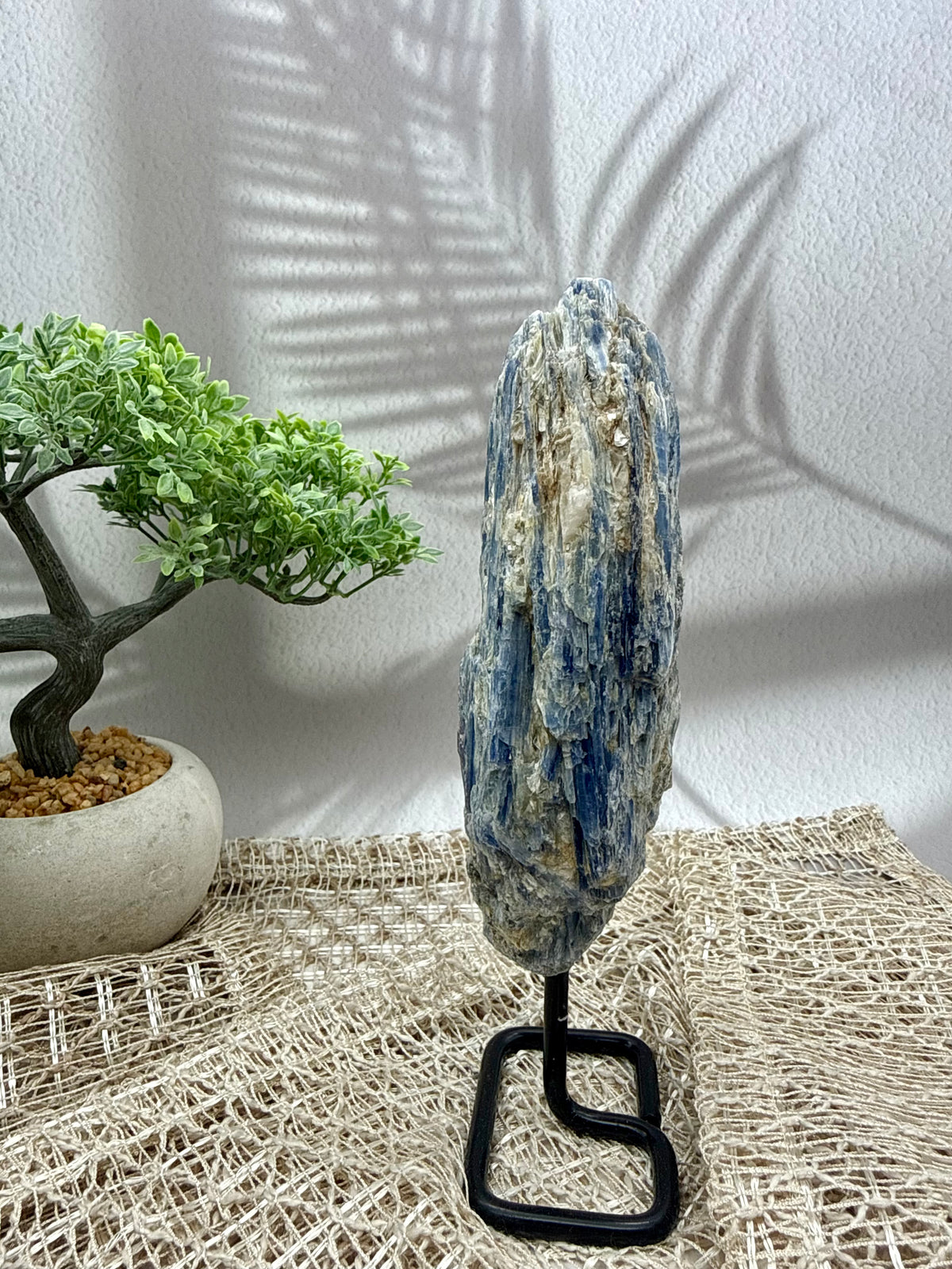 Blauer Kyanit auf Ständer II