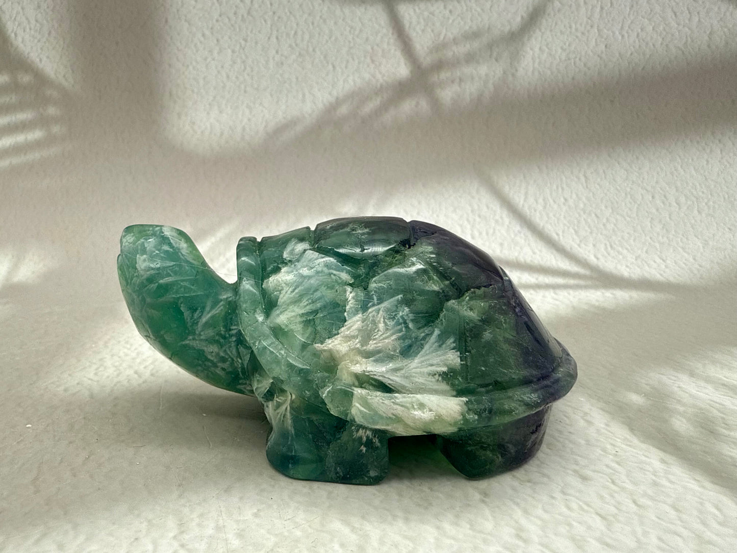 Fluorit Schildkröte