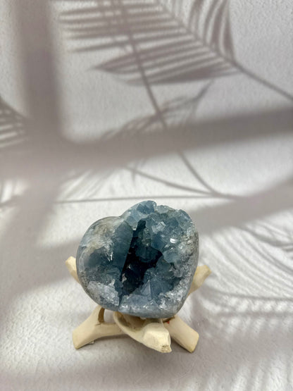 Coelestin Herz Druse III