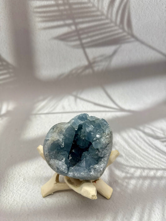 Coelestin Herz Druse III