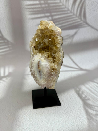 Gebrannter Citrin auf Ständer