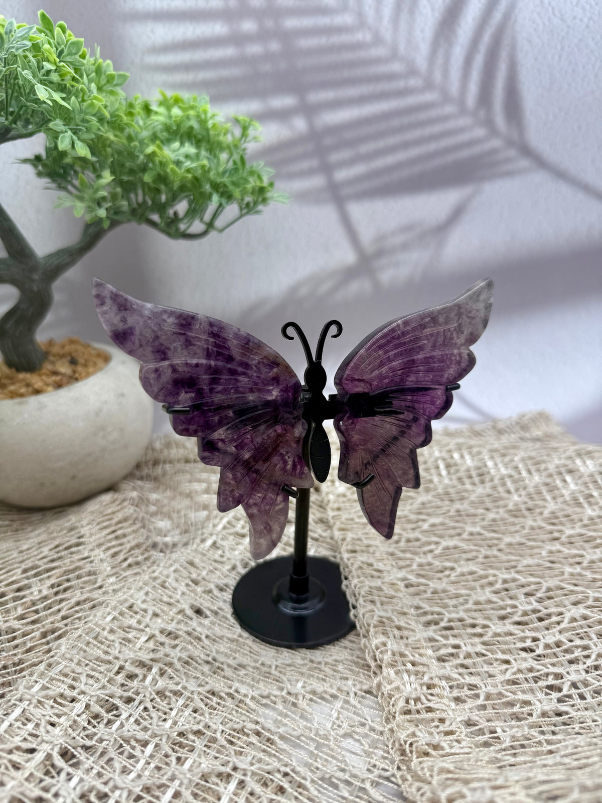 Lila Fluorit Schmetterling I