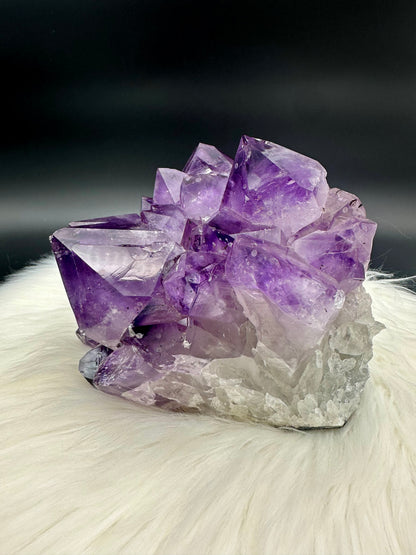 Amethyst Cluster Stück II - groß