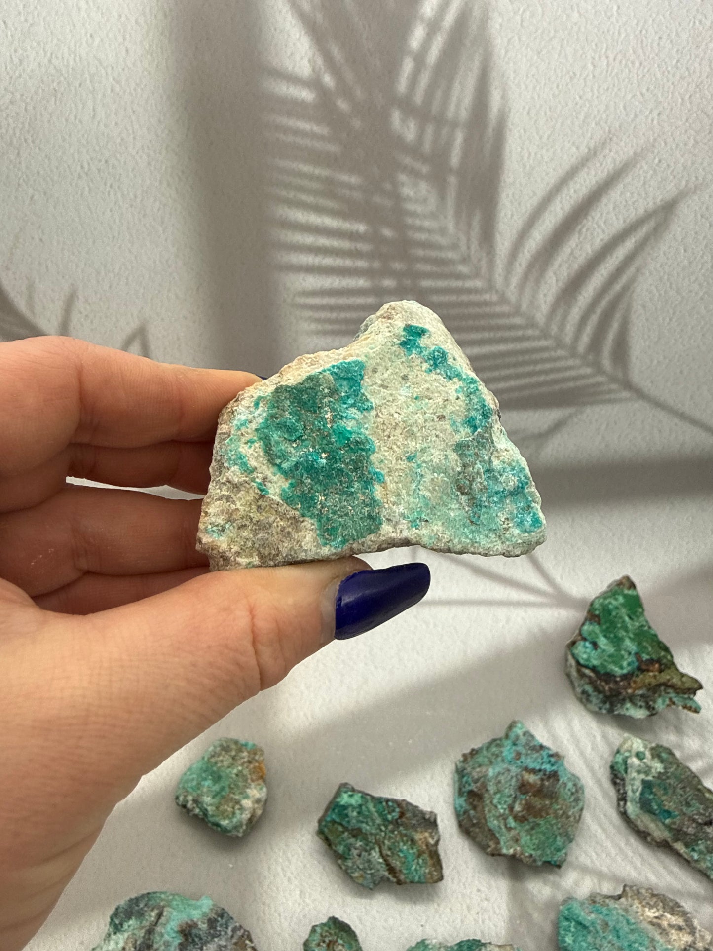 Chrysokoll Rohstücke Rarität