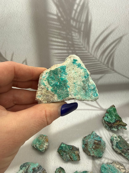 Chrysokoll Rohstücke Rarität