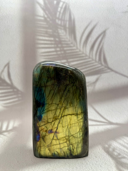 Labradorit Freiform VIII