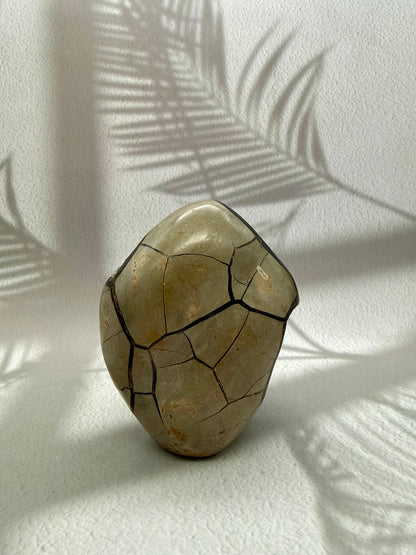 Septarie Freiform mit Calcitspitzen