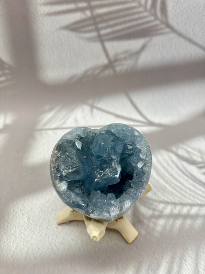 Coelestin Drusen Herz I