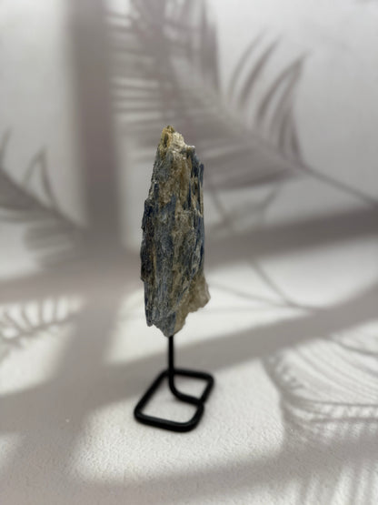 Blauer/Schwarzer Kyanit auf Ständer X