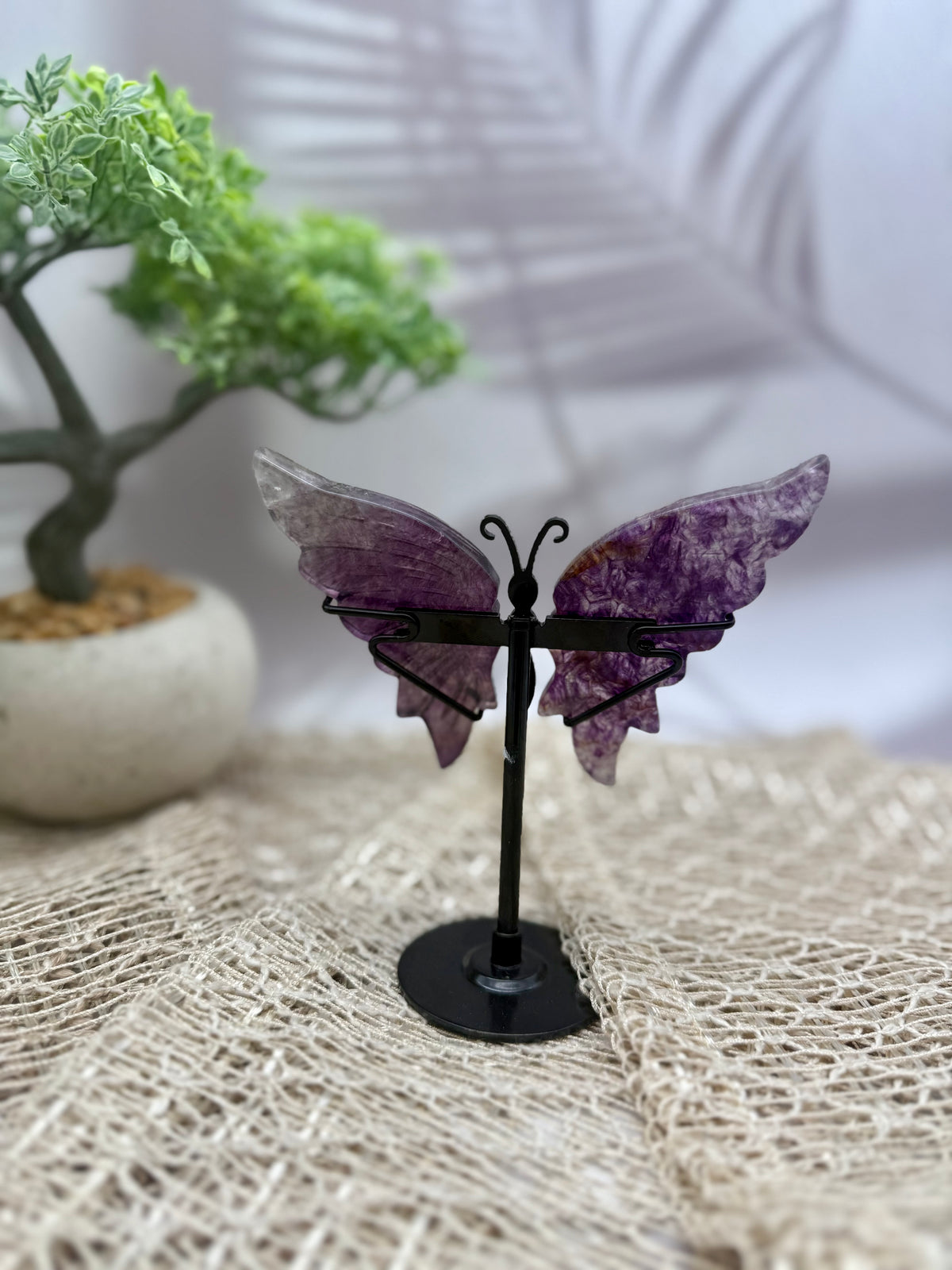Lila Fluorit Schmetterling I