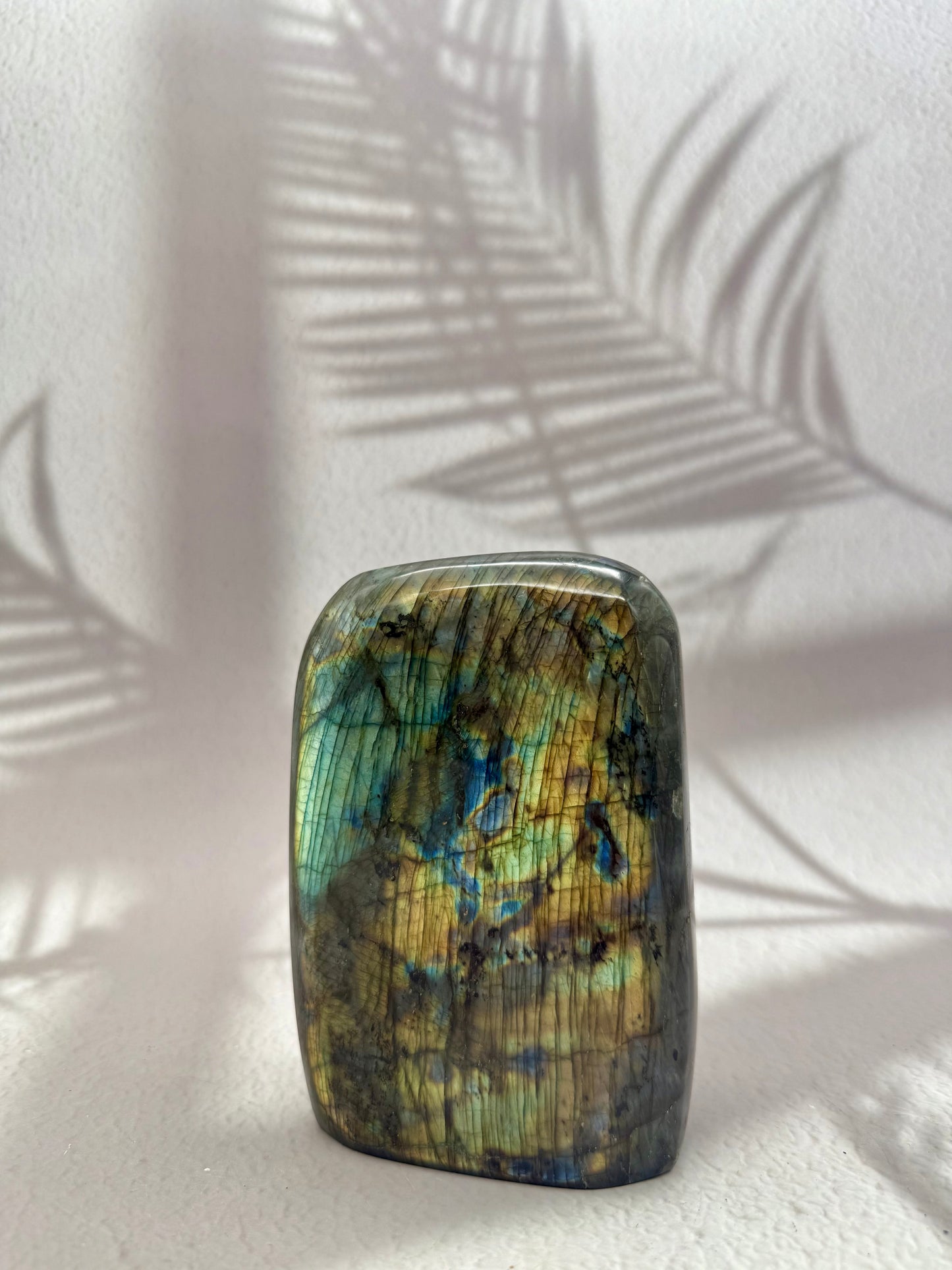 Labradorit Freiform VI