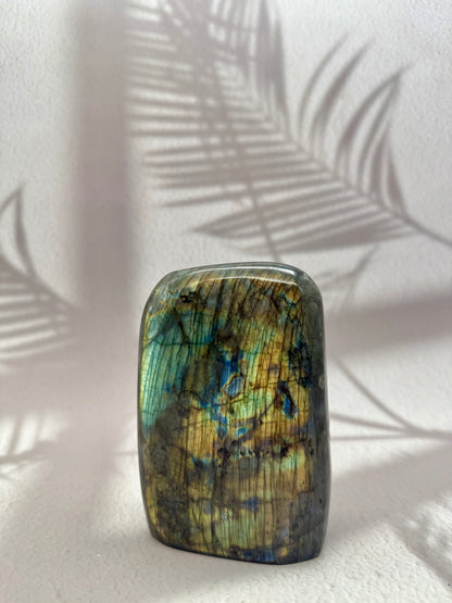 Labradorit Freiform VI