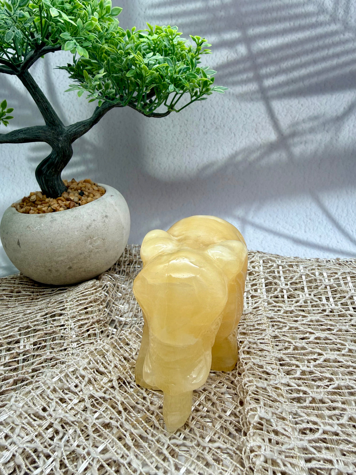 Orangencalcit Elefant - II
