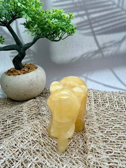Orangencalcit Elefant - II
