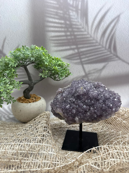Amethyst auf Ständer - 1