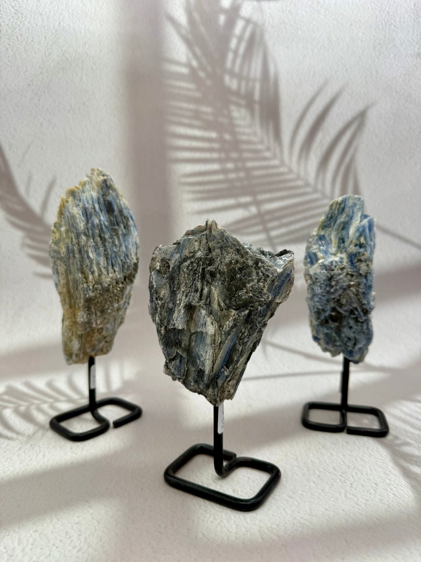 Blauer Kyanit auf Ständer