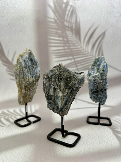 Blauer Kyanit auf Ständer