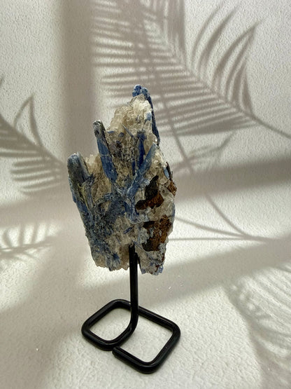 Blauer Kyanit VI | B-Ware