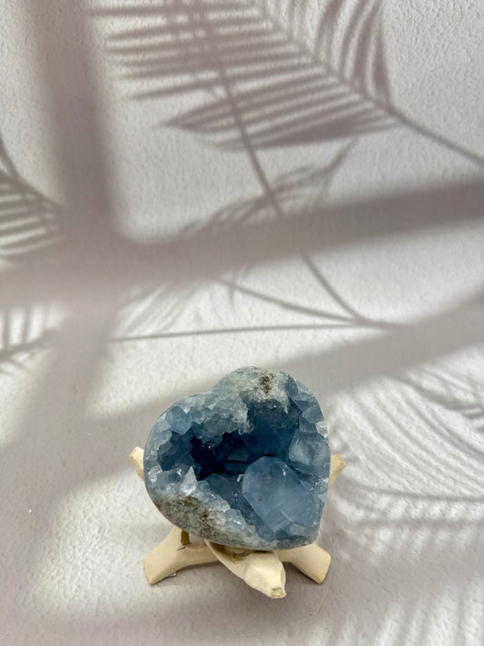 Coelestin Herz Druse IV