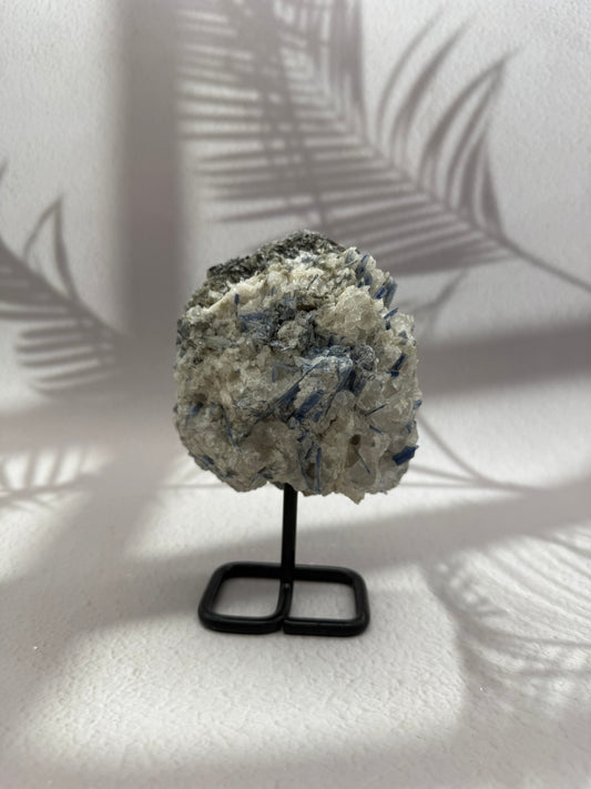 Blauer Kyanit auf Ständer XI