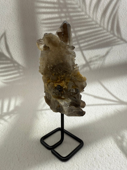 Rauchquarz auf Ständer III
