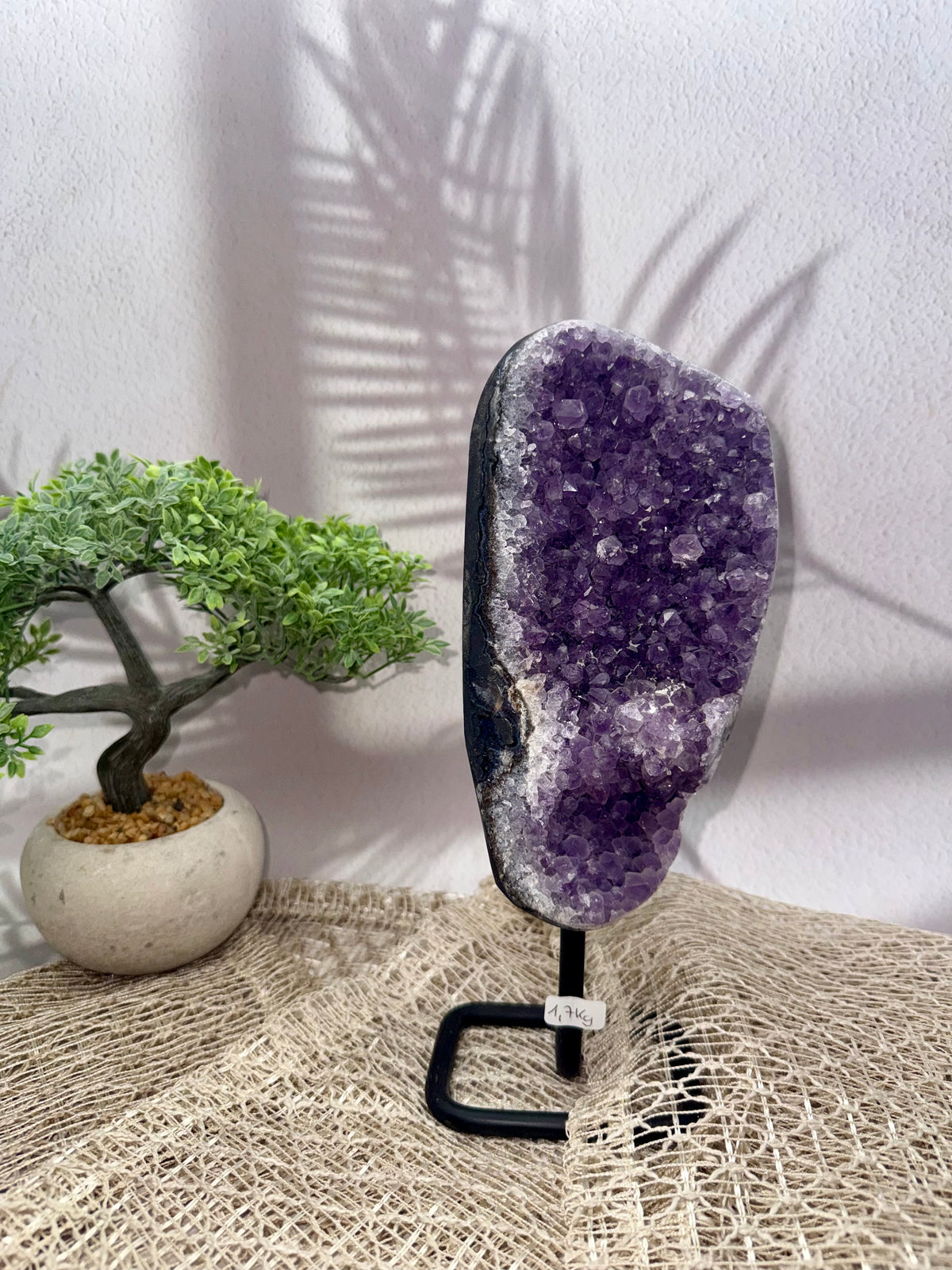 Amethyst auf Ständer II