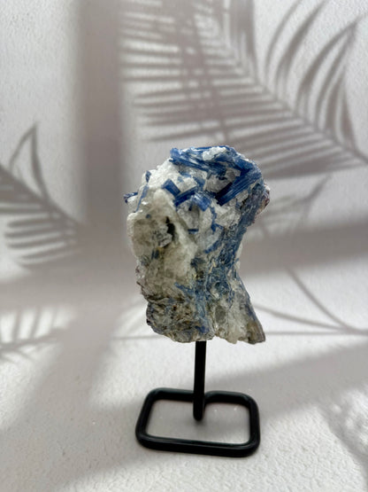 Blauer Kyanit IV