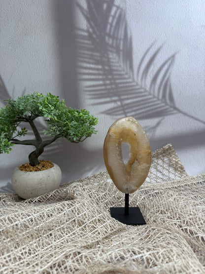 Achat auf Ständer - IV