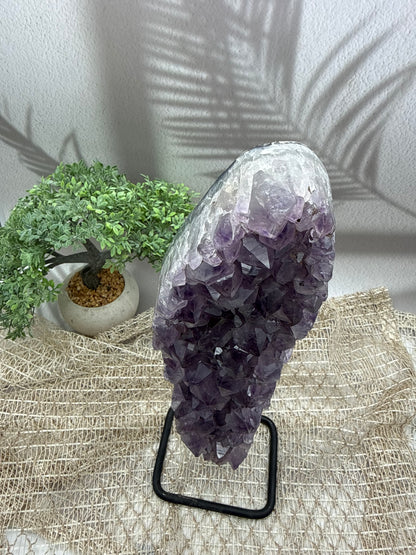 Amethyst auf Ständer - I - 3,1kg