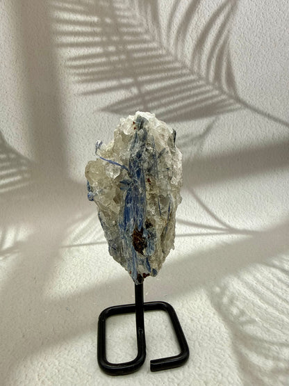 Blauer Kyanit VIII