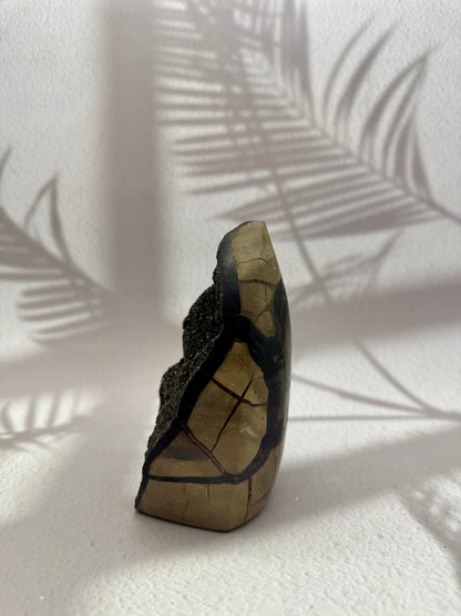 Septarie Drusen Flamme