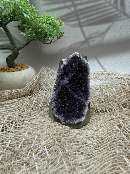 Amethyst Druse - VI