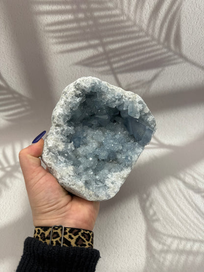 Coelestin Cluster XXL