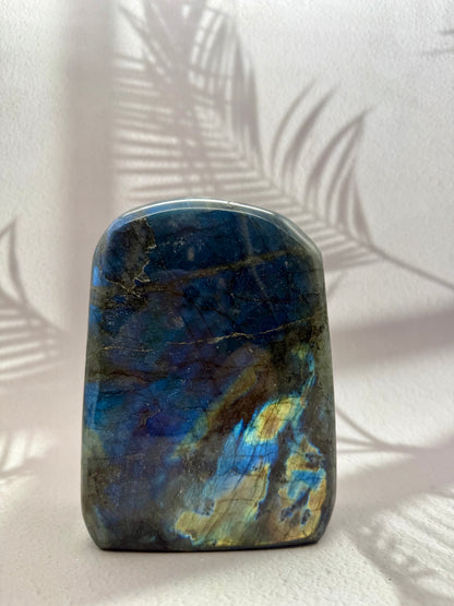 Labradorit Freiform X