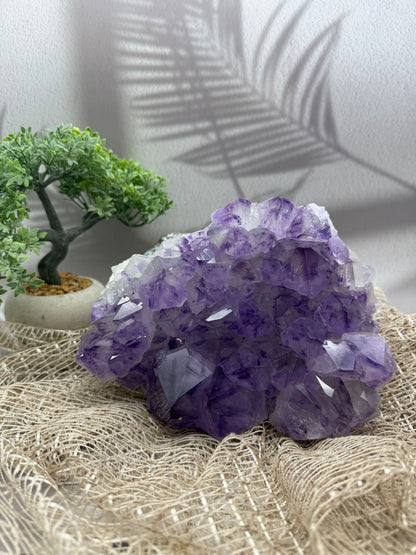 Amethyst Cluster - 5,3 kg - Ladecluster