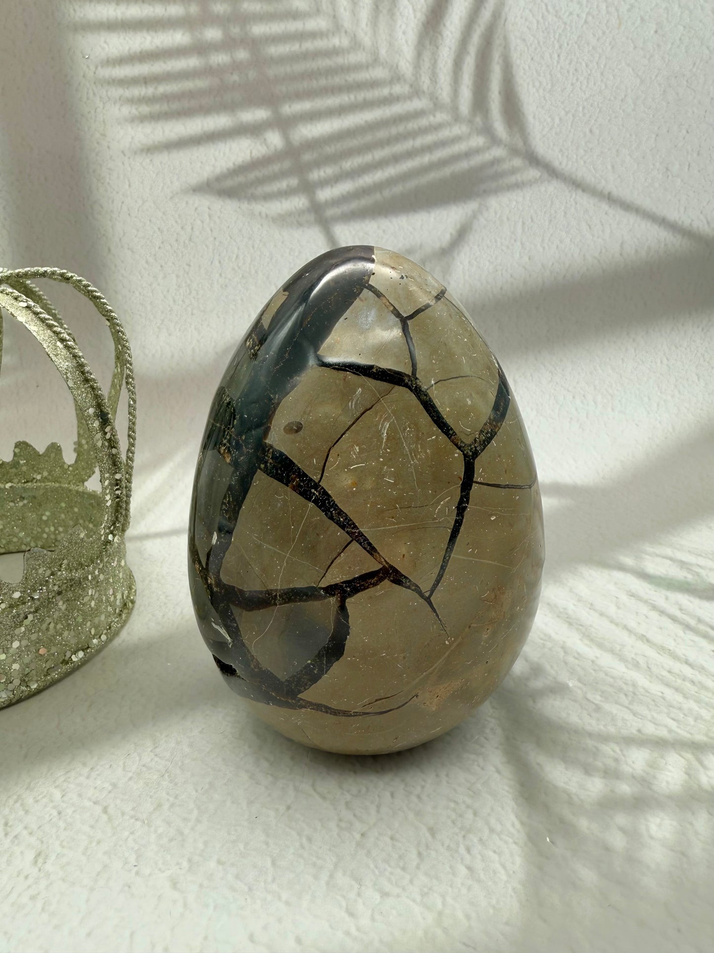 Septarie Ei mit Druse | B-Ware