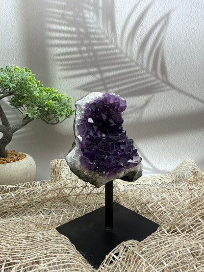 Sibirischer Amethyst auf Ständer - 5