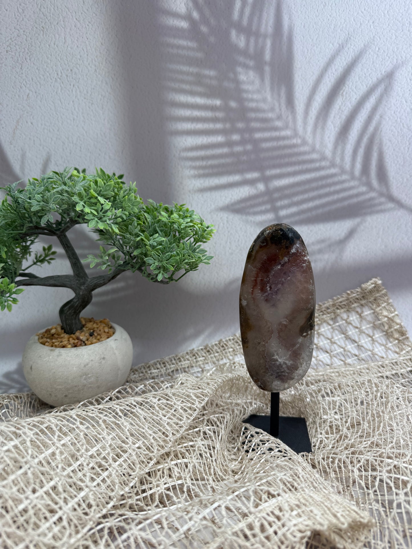 Achat auf Ständer - VI