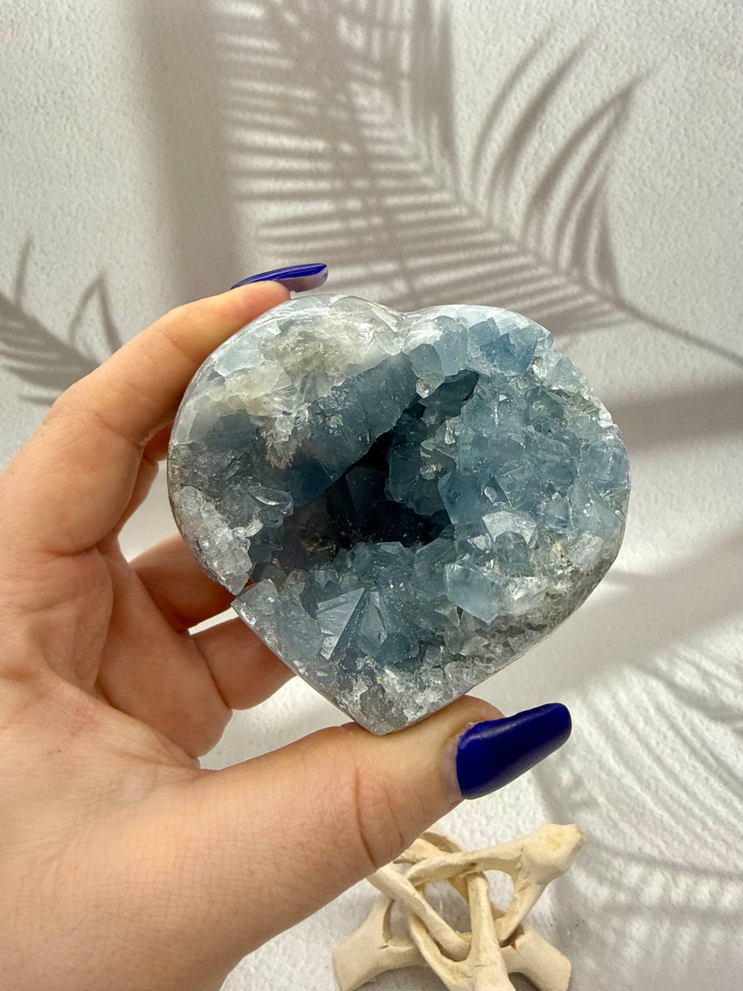 Coelestin Herz Druse III