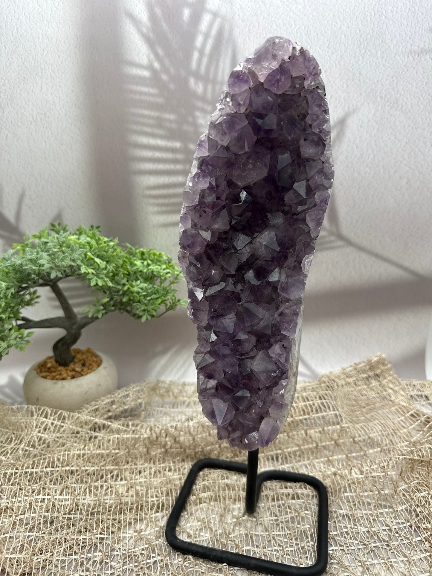 Amethyst auf Ständer - I - 3,1kg