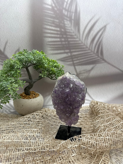 Amethyst auf Ständer - 5