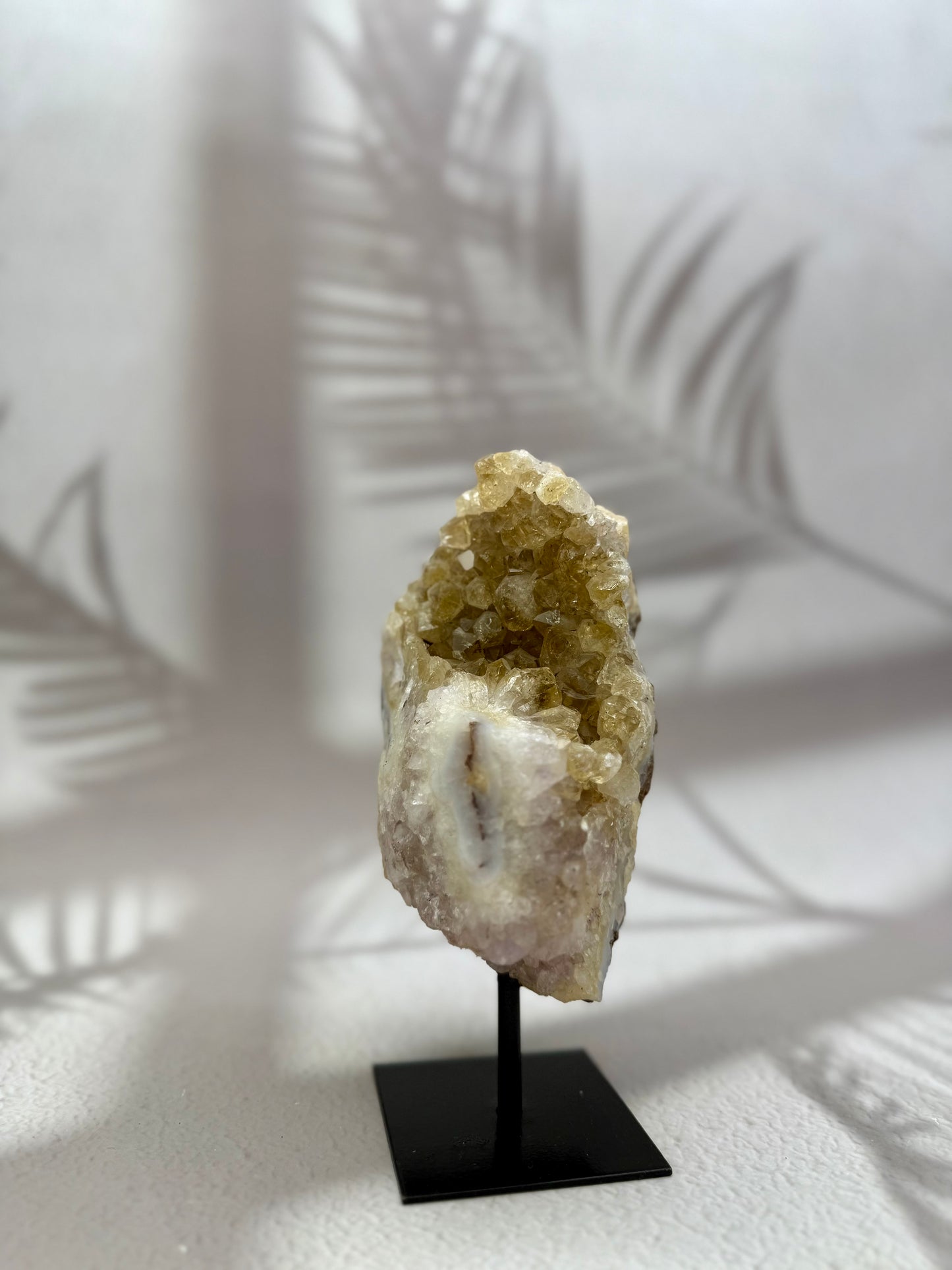 Gebrannter Citrin auf Ständer