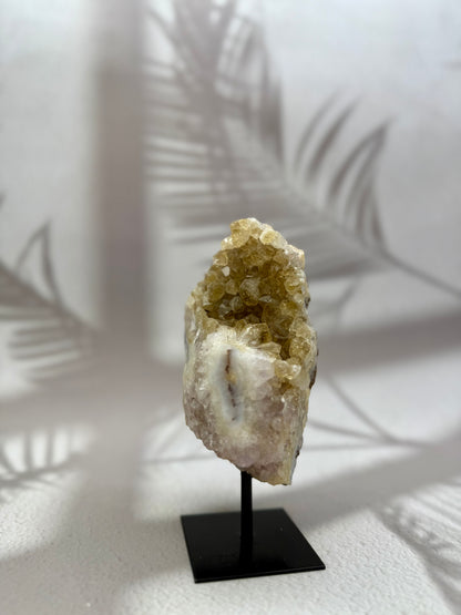 Gebrannter Citrin auf Ständer