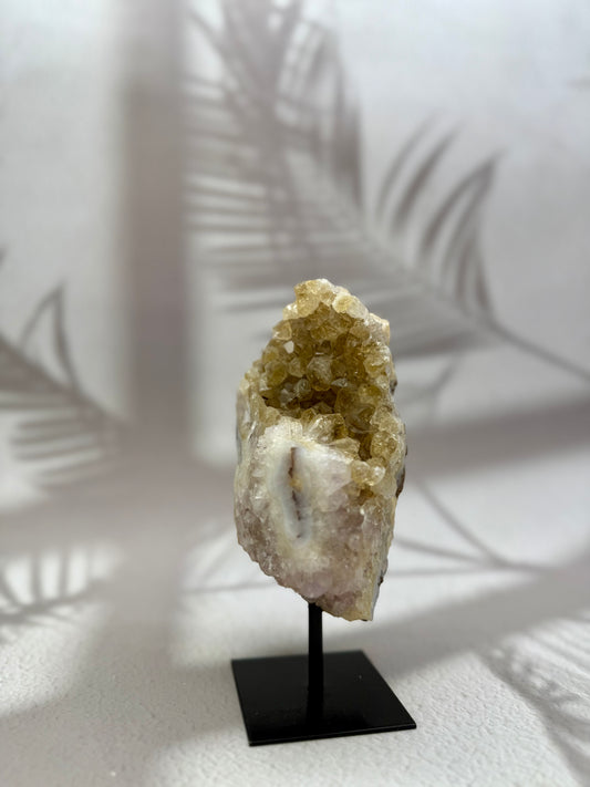 Gebrannter Citrin auf Ständer