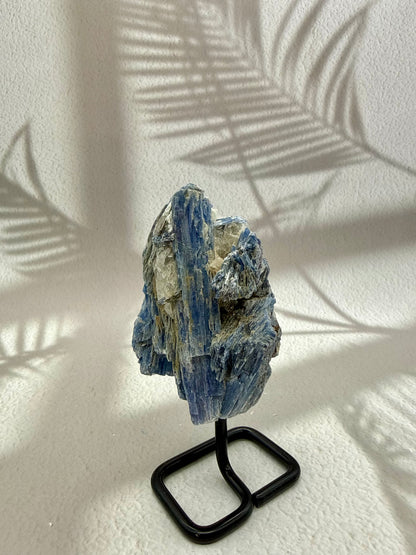Blauer Kyanit VII