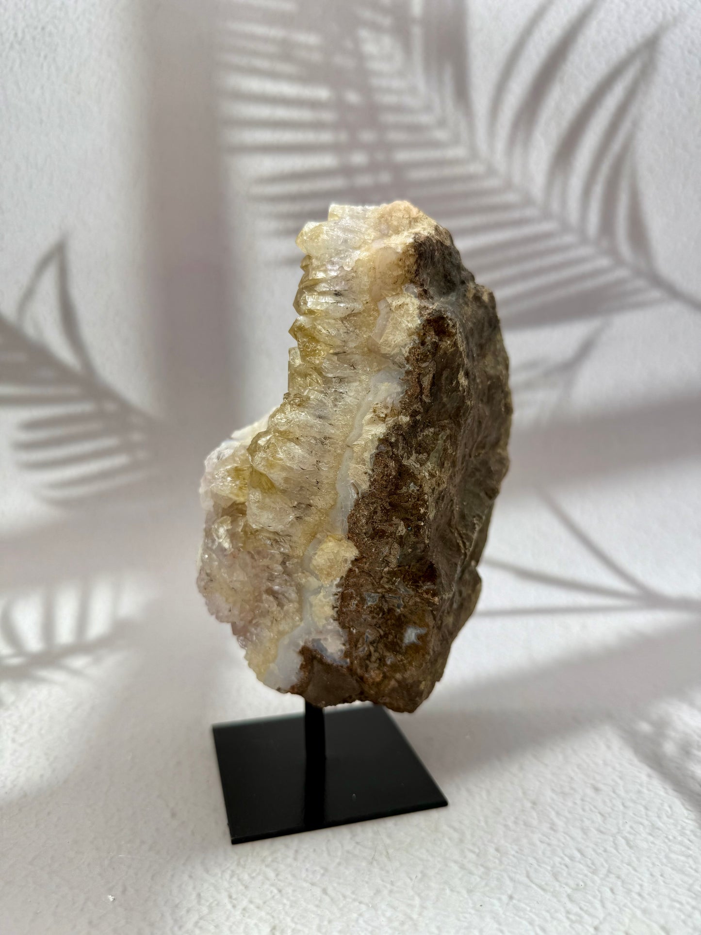 Gebrannter Citrin auf Ständer