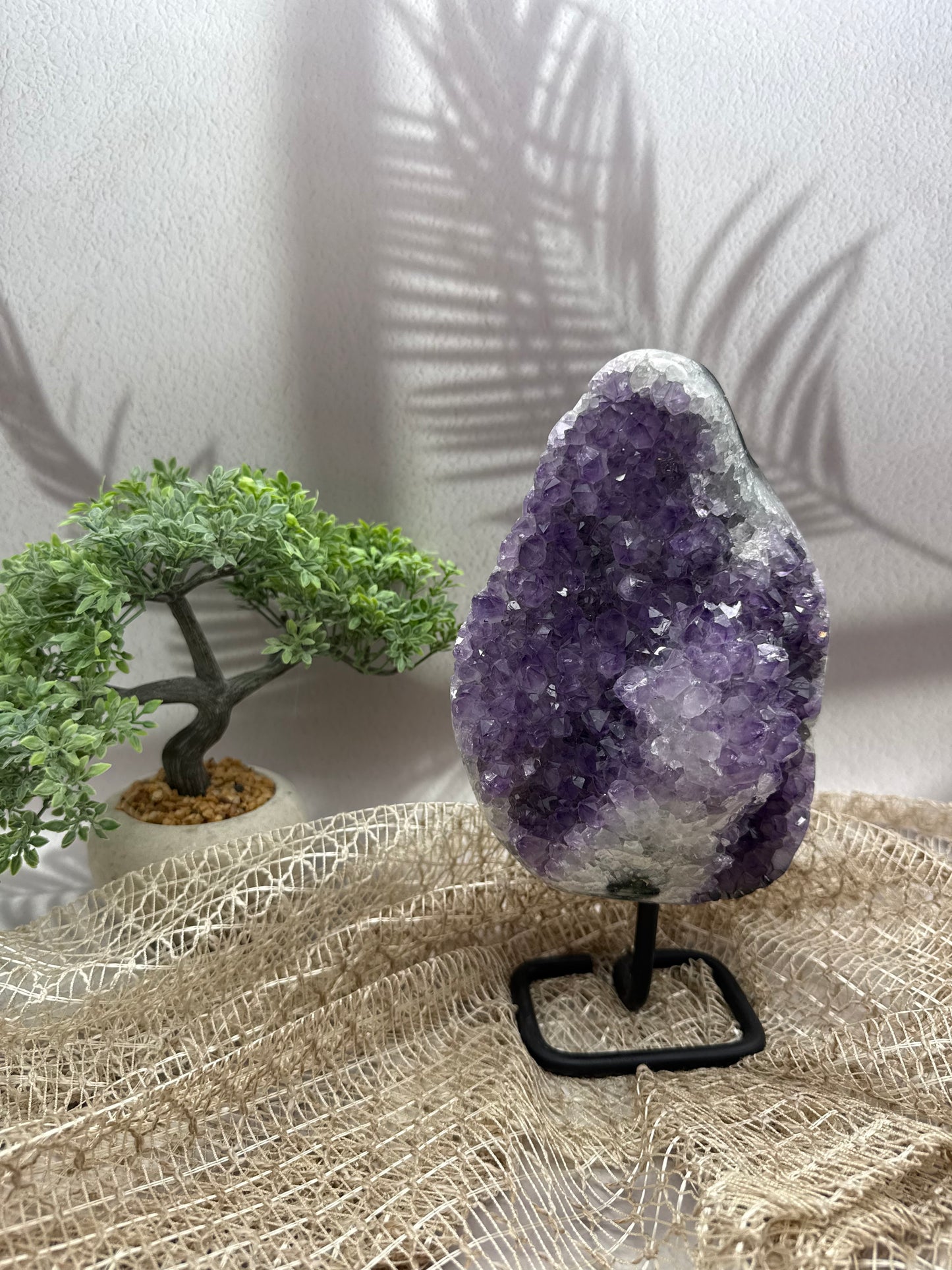 Amethyst auf Ständer - III - 3kg