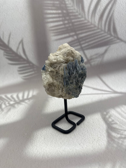 Blauer/Schwarzer Kyanit auf Ständer XII