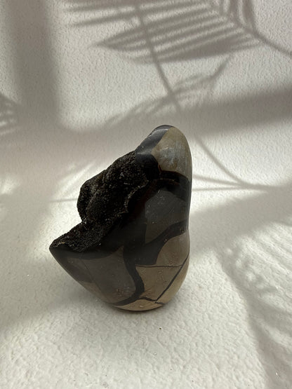 Septarie Drusen Freiform II