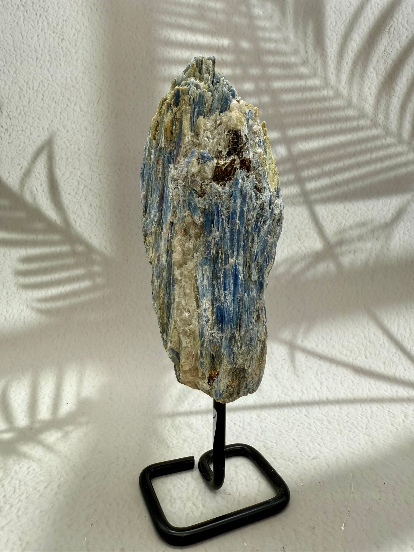 Blauer Kyanit auf Ständer